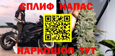 гидра Волгодонск