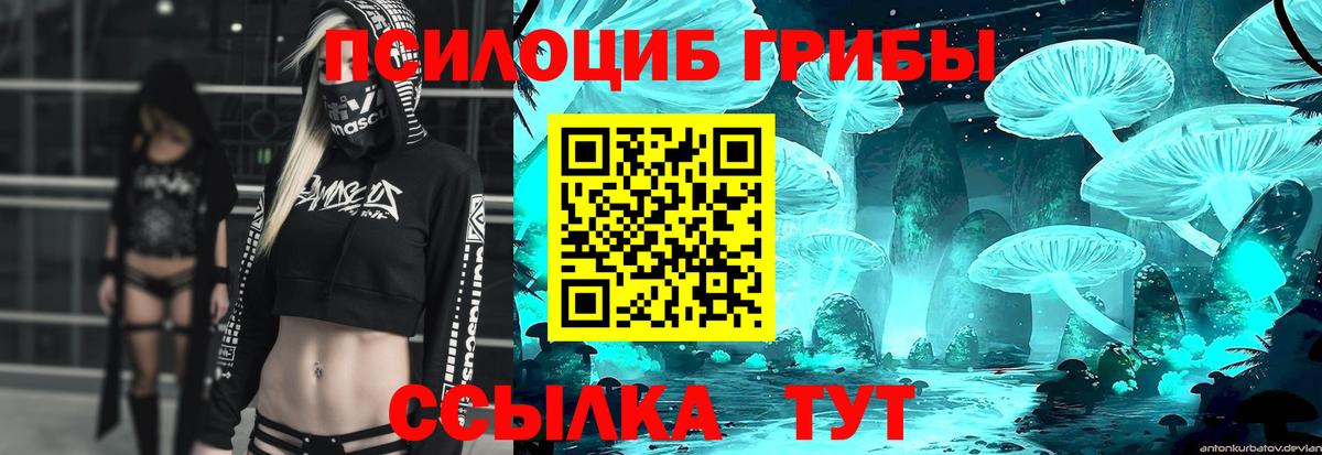 Йошкар-Ола  купить наркотики цена  Вход с VPN  Галлюциногенные грибы мицелий  Псилоцибиновые грибы GOLDEN TEACHER 